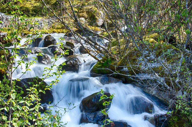 Thawed Stream.jpg :: Warming temperatures bring about flowing water once again