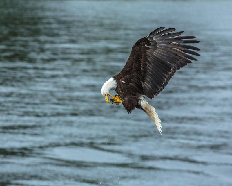 20160530Ketchikan-113-Edit.jpg