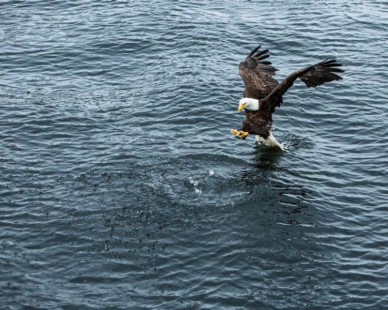 20160530Ketchikan-196.jpg