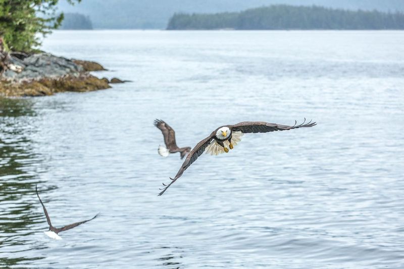 20160530Ketchikan-314.jpg