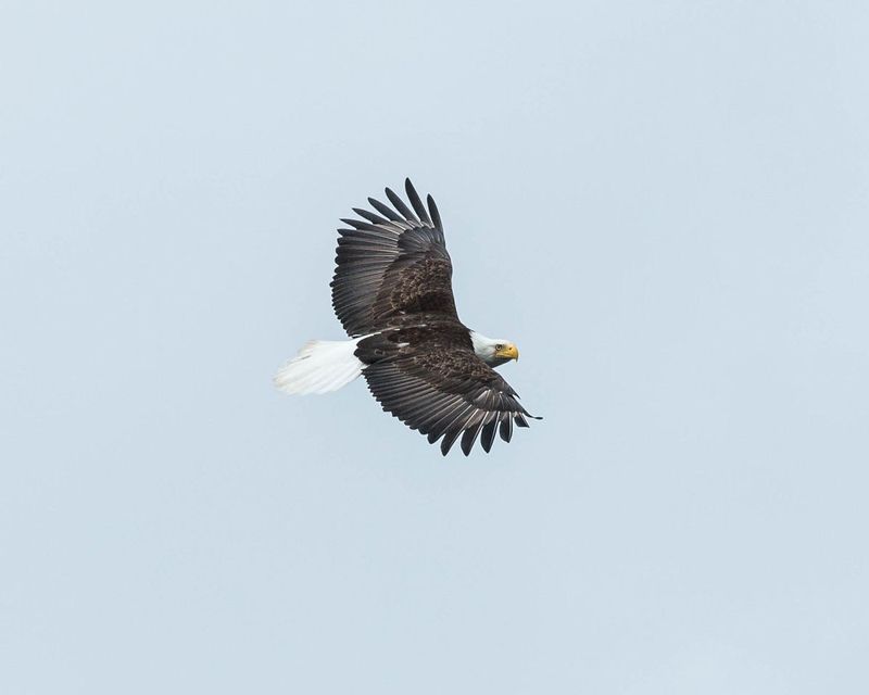 20160530Ketchikan-84.jpg