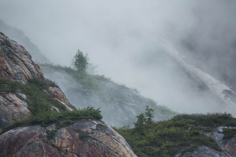 20160602GlacierBayNatlPark-113.jpg