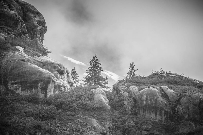 20160602GlacierBayNatlPark-125.jpg