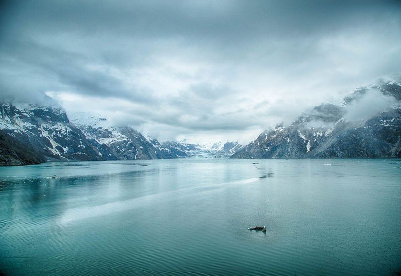 20160602GlacierBayNatlPark-92_HDR.jpg