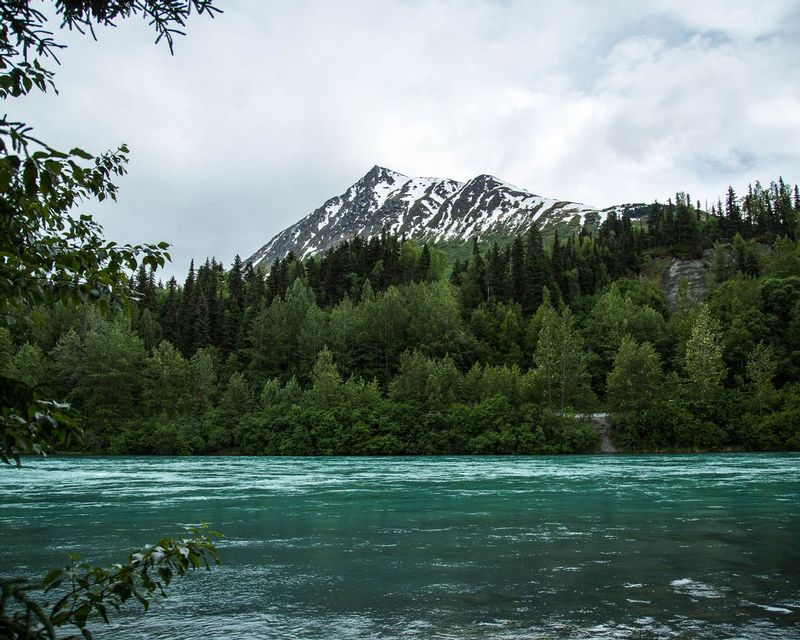 20160604Kenai-113.jpg