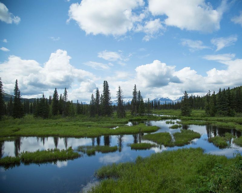 201607Talkeetna-155-Edit.jpg