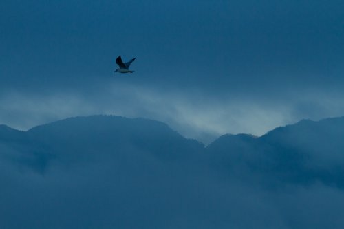 20121206Golden Rock-4377.jpg