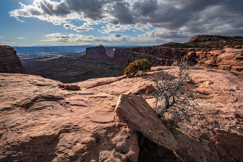 _DSC0640Sept2019.jpg