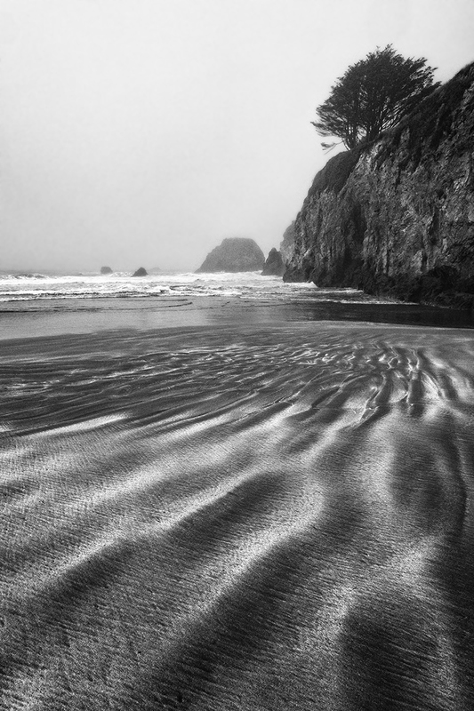 _DSC6480Nov2019bw.jpg