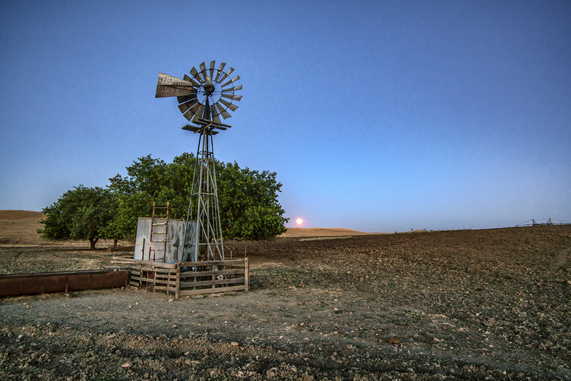 _DSC9172 copy.jpg :: Yolo County Windmill