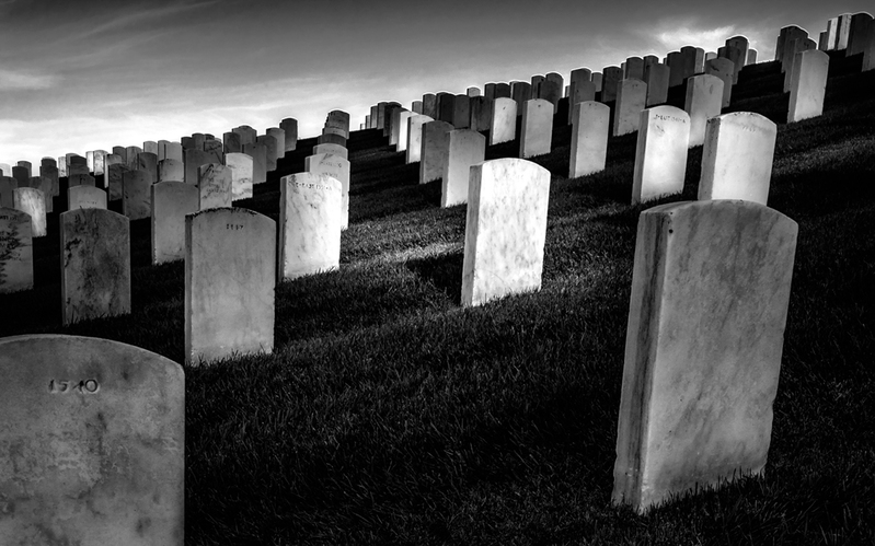 DSC01942bw2.jpg