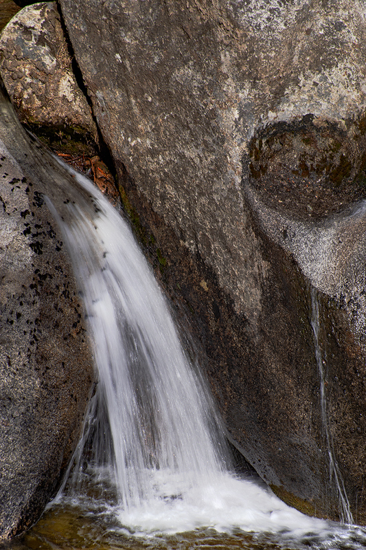 DSC02377Sept2019.jpg