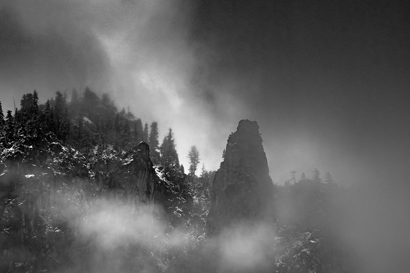 DSC02464Sept2019bw.jpg