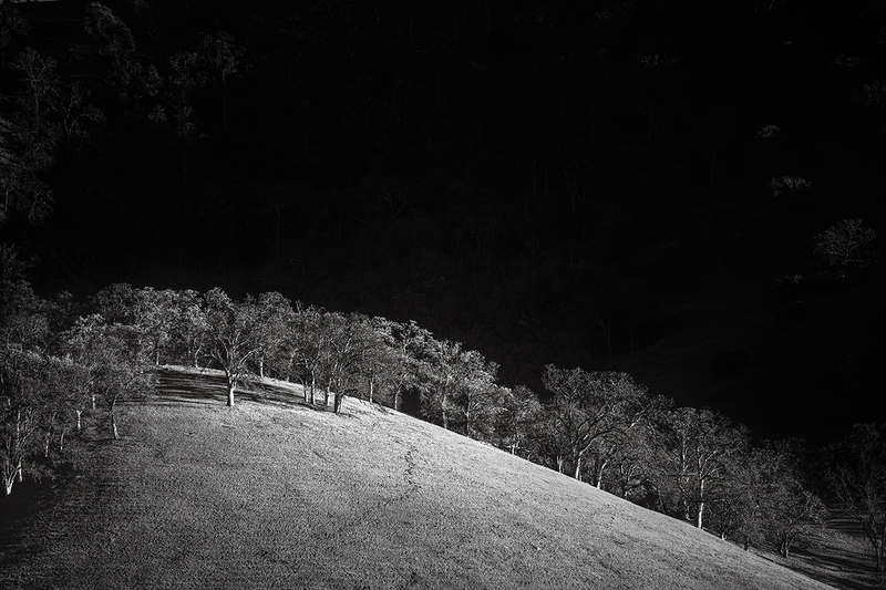 EveningLight.jpg