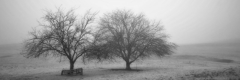 Grow Old with Me.jpg :: One of the gifts of life, growing old together.