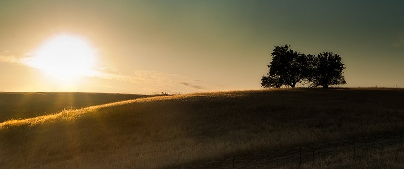 Into The Sunset.jpg :: The setting sun on some rolling hills just west of Yolo, California.