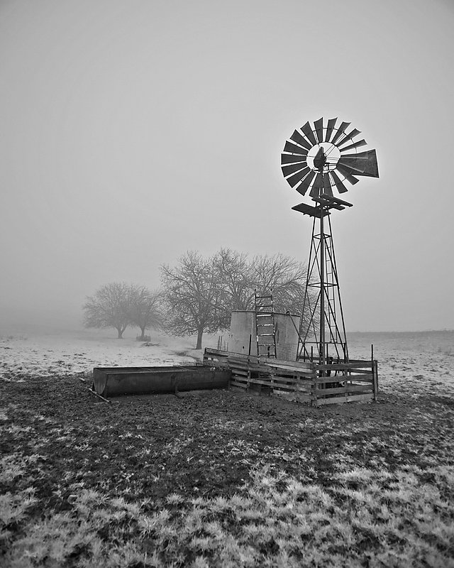 Yolo Ranch.jpg