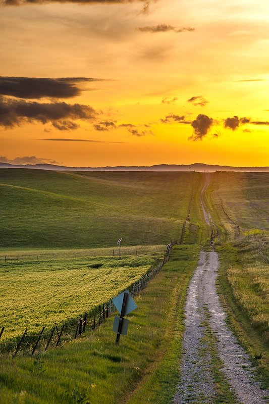 CR17 Yolo Co.jpg :: I had taken this while on a stroll during the spring.  The color of the sky was amazing against the greens of the rolling hills.