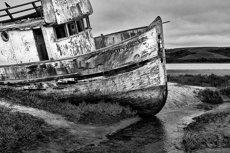 PtReyescrow.jpg :: When I had taken this image, I wasn't aware of the crow up in the right hand corner.  It has become one of my favorites of this old relic.