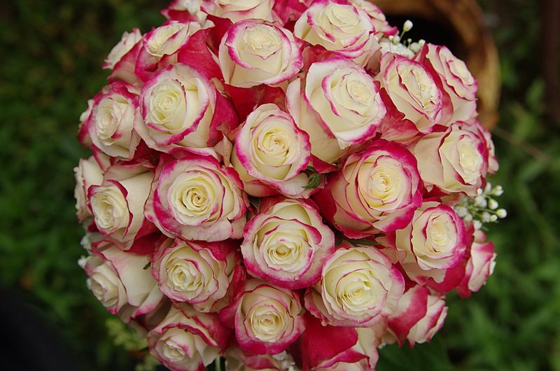 August 4 bridal bouquet top.jpg