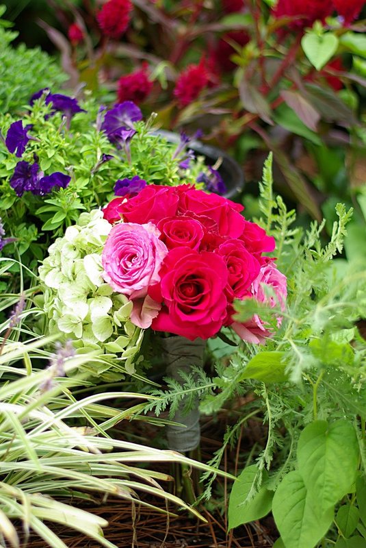 August wedding 2.jpg