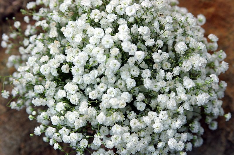Babys Breath Attendants Bouquet top.jpg