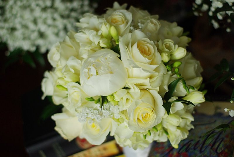 Blizzard rose white peony and freesia top view.jpg