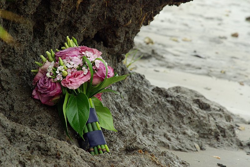 Blush under the bluffs.jpg