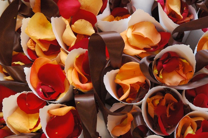 CroninRumore flower cones.jpg
