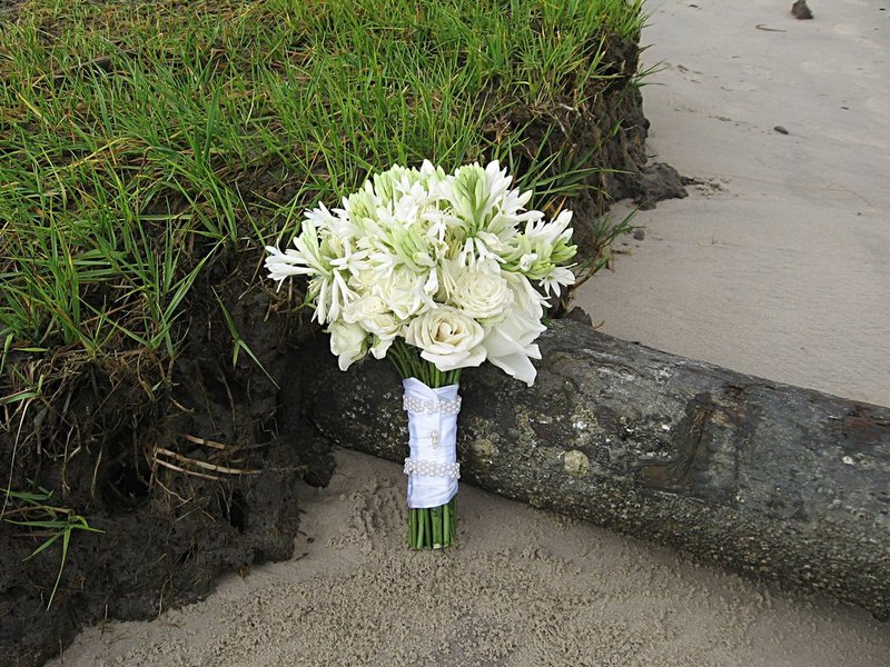 Fresia at inlets edge.jpg