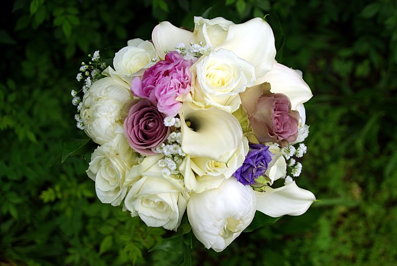 Harlequin bouquet.jpg