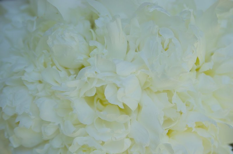 June 15 Bridal bouquet 3.jpg