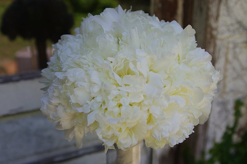 June 15 Bridal bouquet 4.jpg