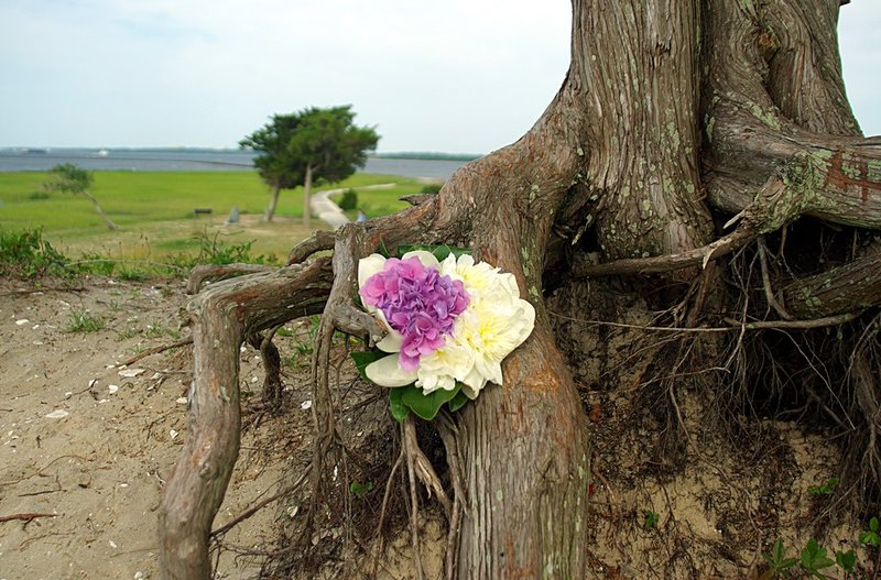 Maggie with Hydrangea on the island.jpg