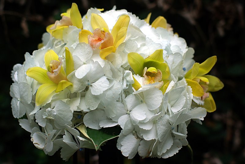 Norcross bouquet 1.jpg