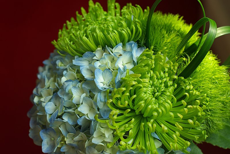 Phelps bouquet top view.jpg