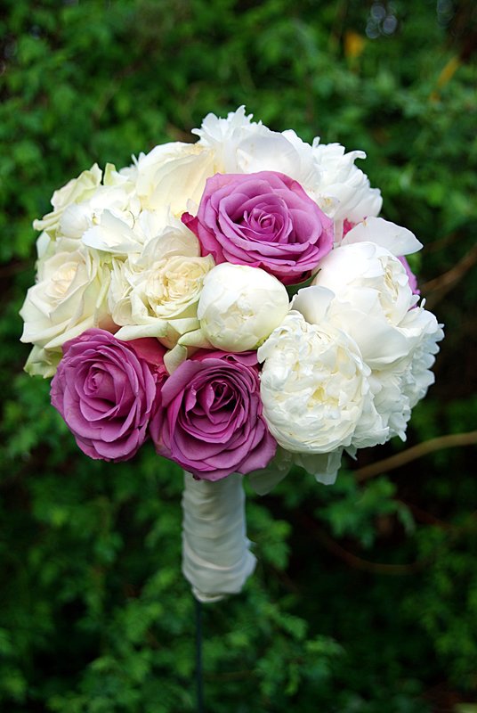 Purple and white.jpg