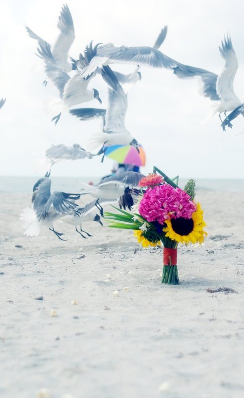 Sunny - Gulls just wanna have fun.jpg