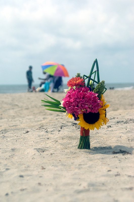 Sunny day ar the beach.jpg