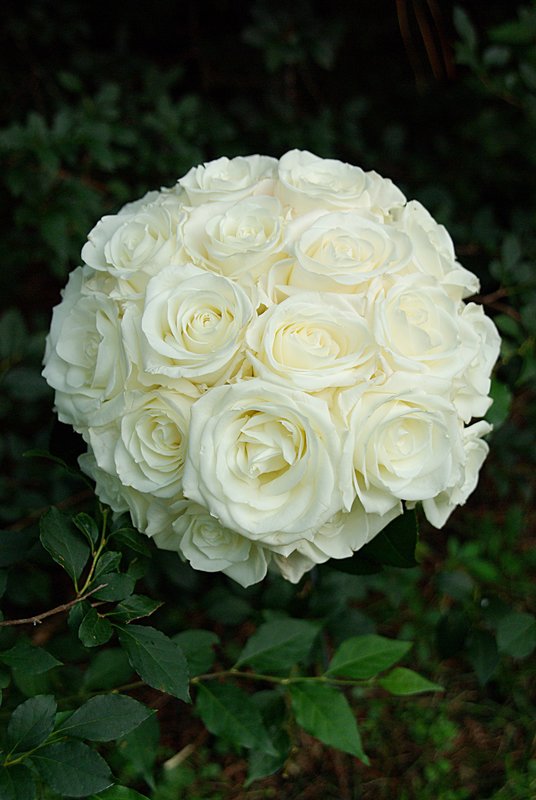 Top View June 30 Bridal.jpg