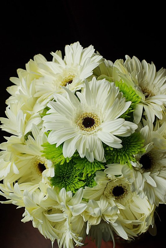 White and green top.jpg