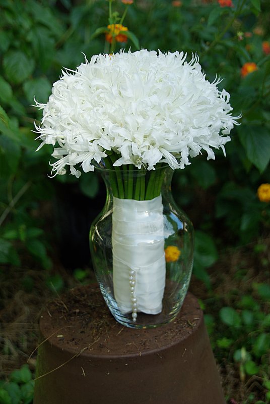 White nerine bridal bouquet for a Spring wedding II.jpg