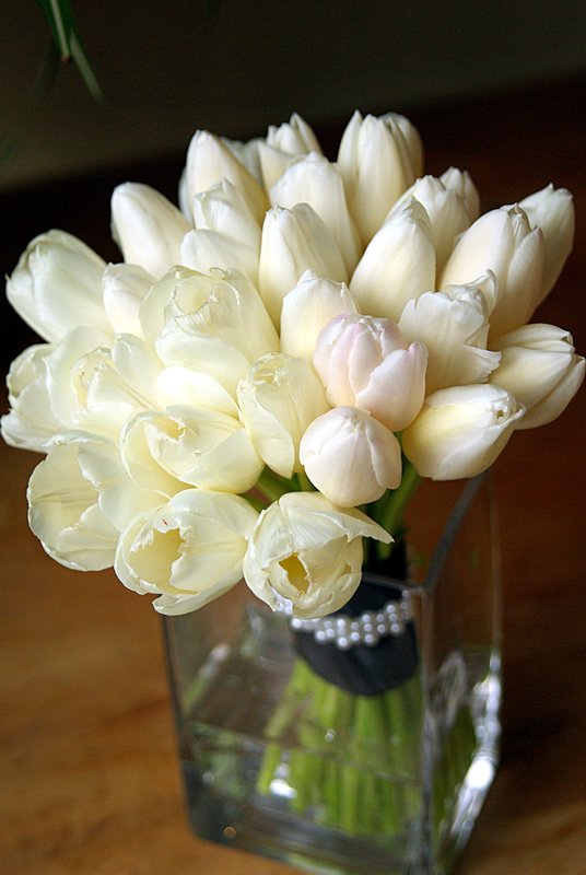 White tulip top view.jpg