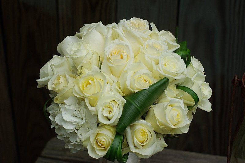 kelwed04.jpg