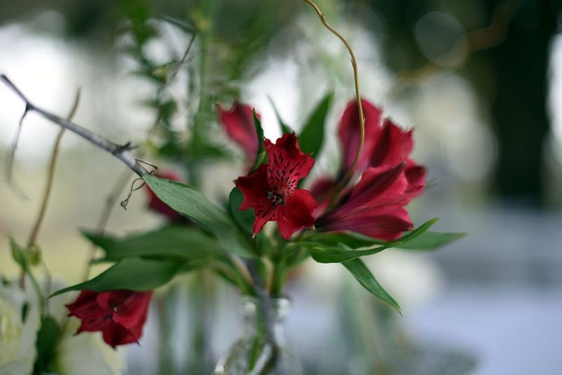 DSC_2864.jpg