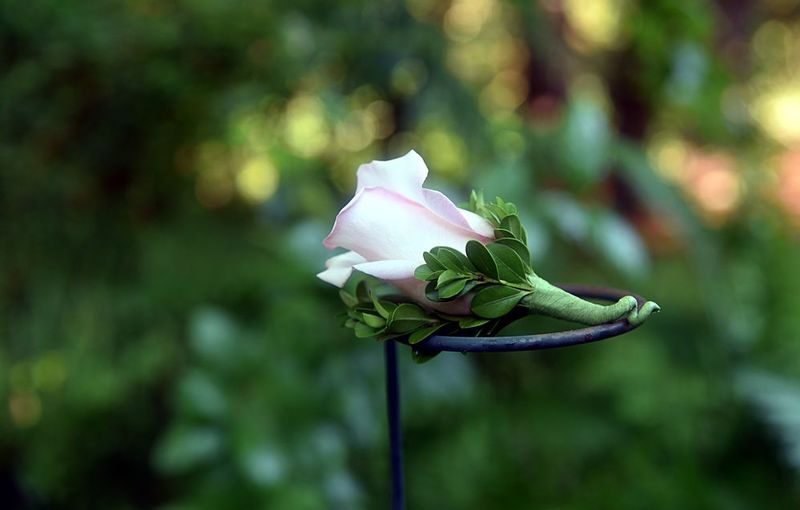 DSC_5044.jpg