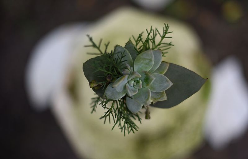 Grooms boutonniere.jpg