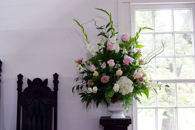 IMGP1676.jpg