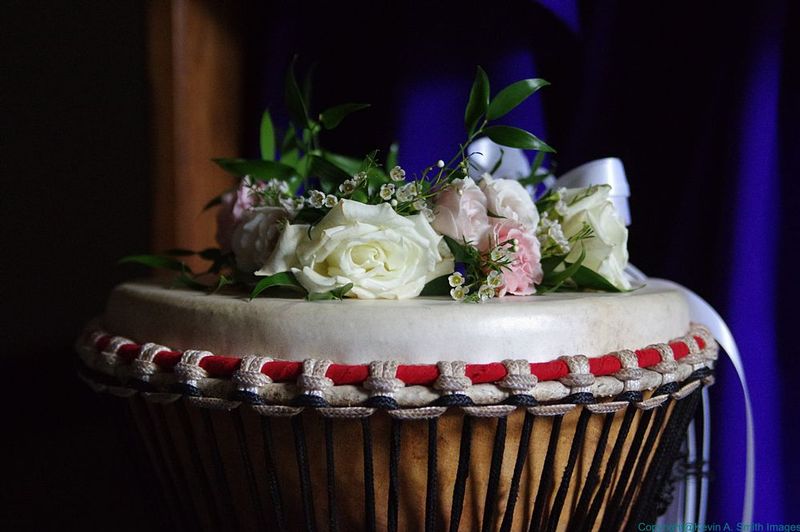 IMGP3115.jpg