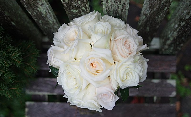 Woodlake bridesmaids top view.jpg